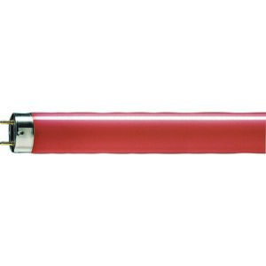 Philips lineární MASTER TL-D 36W/ 15 G13 červená
