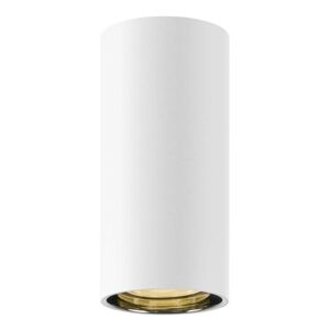BIG WHITE (SLV) ASTO TUBE stropní přisazené svítidlo, válcové, max. 1x 10 W, bílé 1006440
