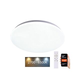 Brilagi Brilagi - LED Stmívatelné stropní svítidlo SMART LED/24W/230V Wi-Fi Tuya + DO