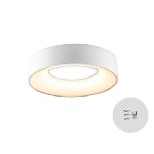 EVN LED stropní světlo Sauro, Ø 30 cm, bílá