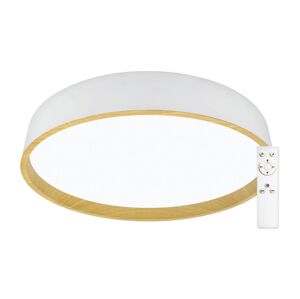 Top Light Top Light - LED Stmívatelné stropní svítidlo DEKOR LED/51W/230V + DO bílá/béžová